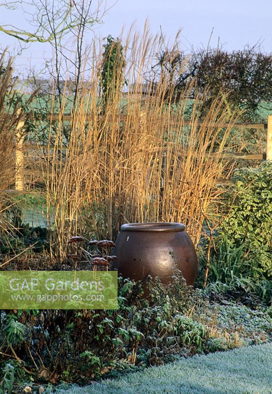 Winter border with Miscanthus  'Undine'  and oil jar in border