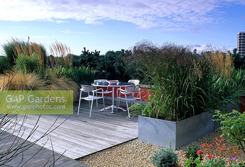 Urban roof garden surrounded by grasses used to create a screen 