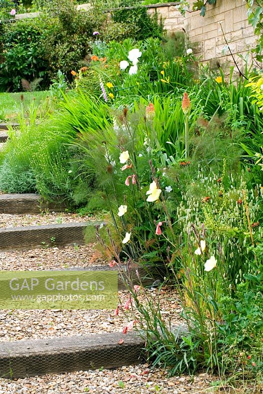 Evening Primrose and grasses growing in informal planting up gravel steps - Hill Lodge Garden, Batheaston, Somerset
