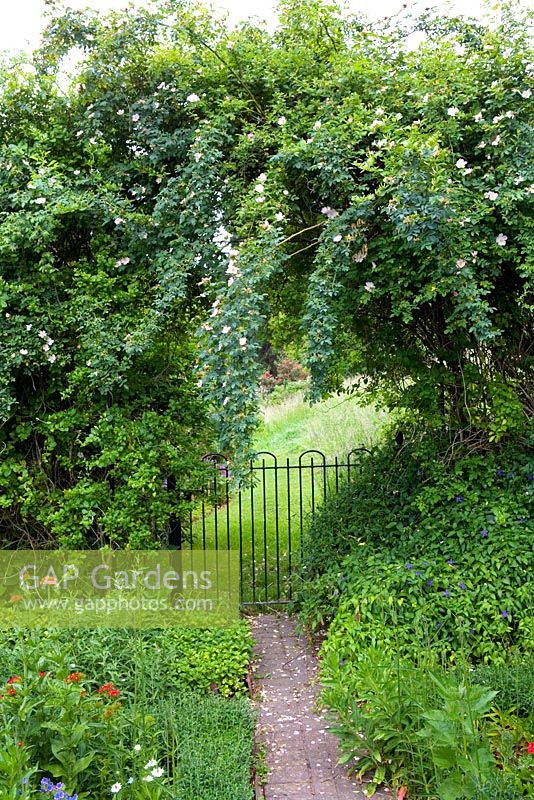 View through gap in hadge across gate - Hill Lodge Garden, Batheaston, Somerset
