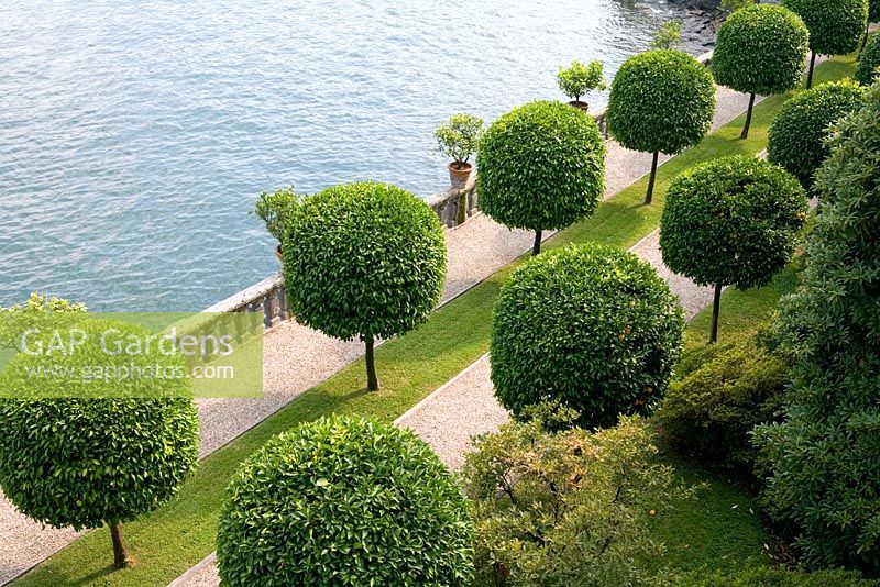Formal citrus garden at Isola Bella, Lake Maggiore, Piedmont, Italy - One of the Borromean Islands famous for beautiful scenic views