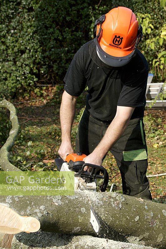 Man sawing tree trunk with chain saw