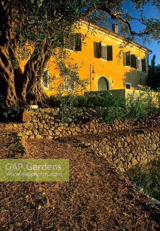 Mediterranean garden with bare raised beds -Late evening light on walls of house - Corfu