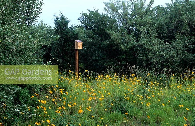 Bird box in wild flower meadow