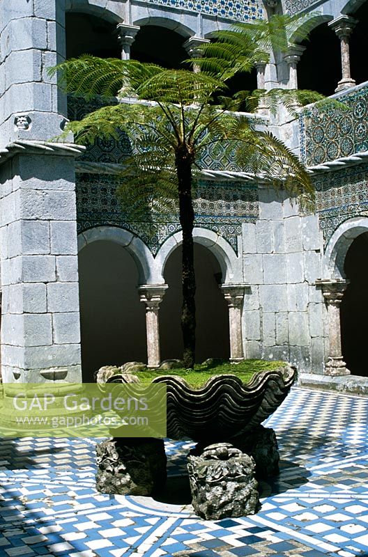 Cyathea australis in container shaped like giant clam in tiled courtyard of Pena Palace, near Sintra, Lisbon, Portugal 