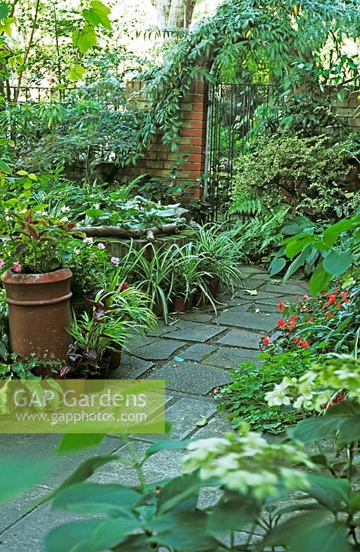 Crazy paving path in shady front garden with trompe l'oeil of mirror and gate with Acer, Ferns and Chlorophytum in pots