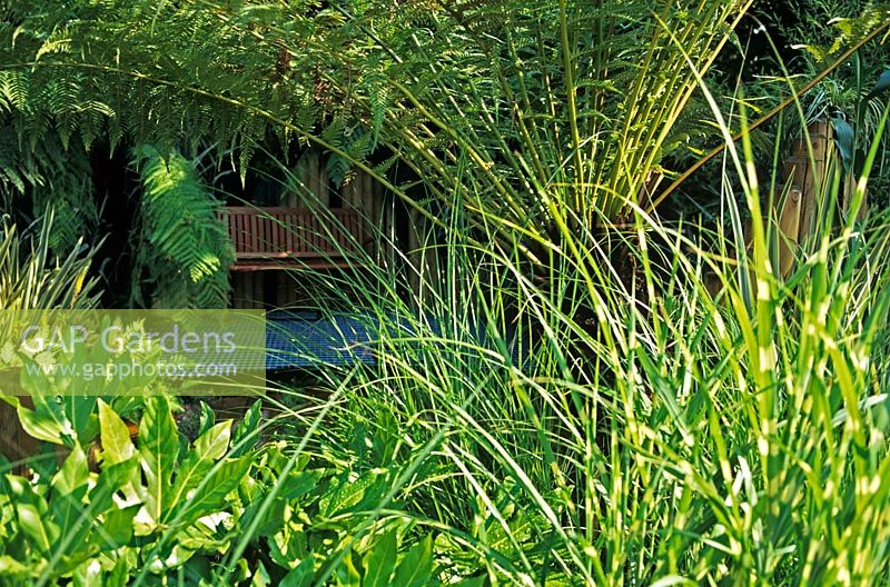 'The Urban Jungle' Garden at Hampton Court Flower Show 2006 with Dicksonia antarctica and Fatsia japonica with view to bench on grating 
