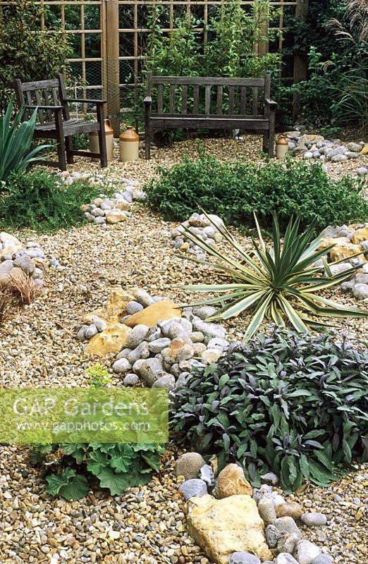 Gravel garden with drought tolerant plants 