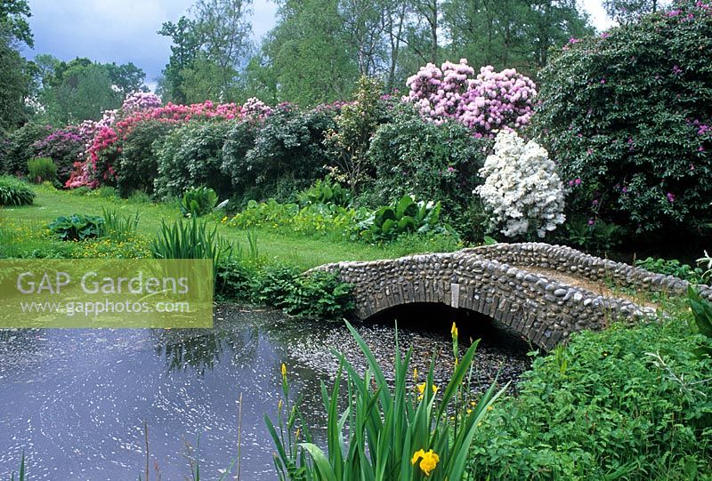 Hoveton Hall garden - Low stone footbridge in water garden with Rhododendron 