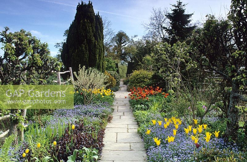 Doubles borders in Spring at The High Garden in Great Dixter. Tulips 'West Point' with forget-me-nots in the foreground and Flagstone path
