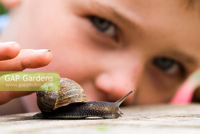 Young Boy stroking a snail
