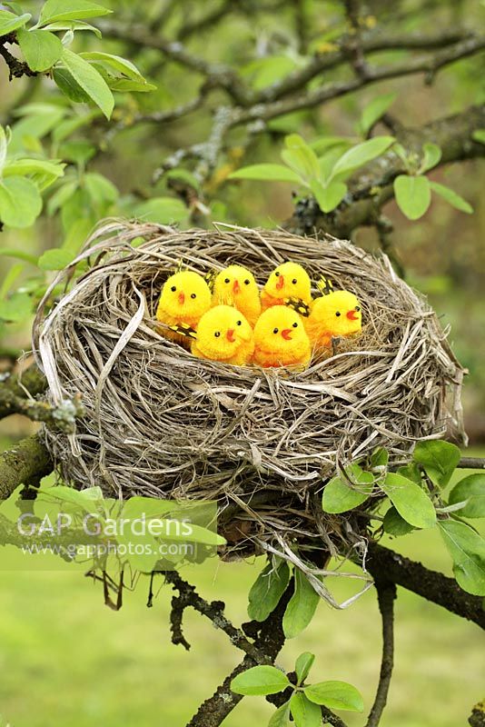 Artificial birds in nest in tree