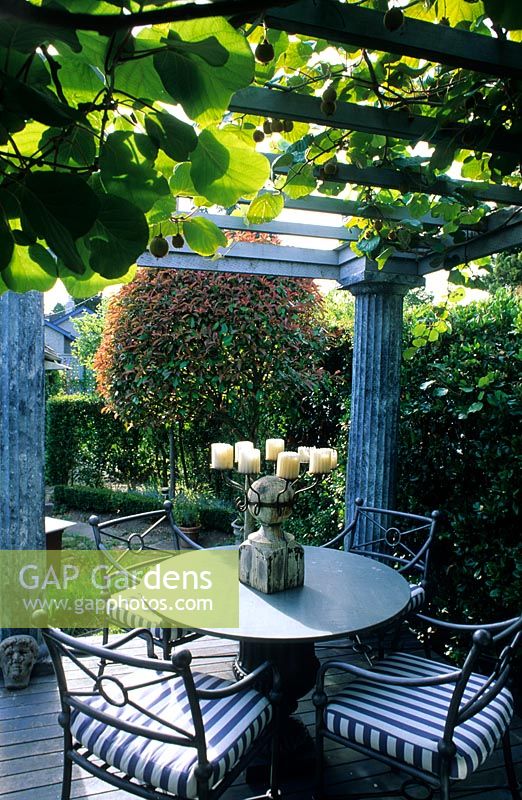 Vitis vinifera climbing over pergola supported by columns above dining table and chairs - Seattle USA