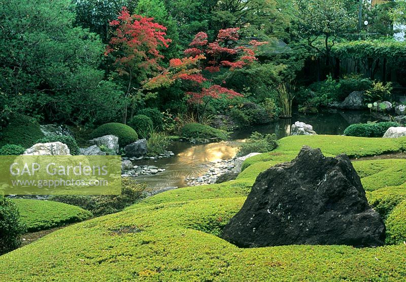 Zen garden at Taizo-in Temple, Myoshin-ji, Kyoto. Japan in Late October