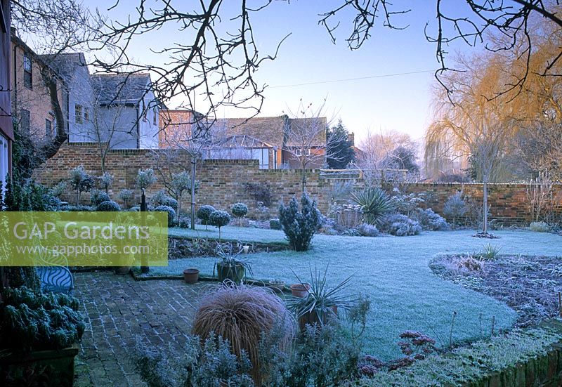 Winter garden borders in January at Tony Venisons in Sudbury, Suffolk 