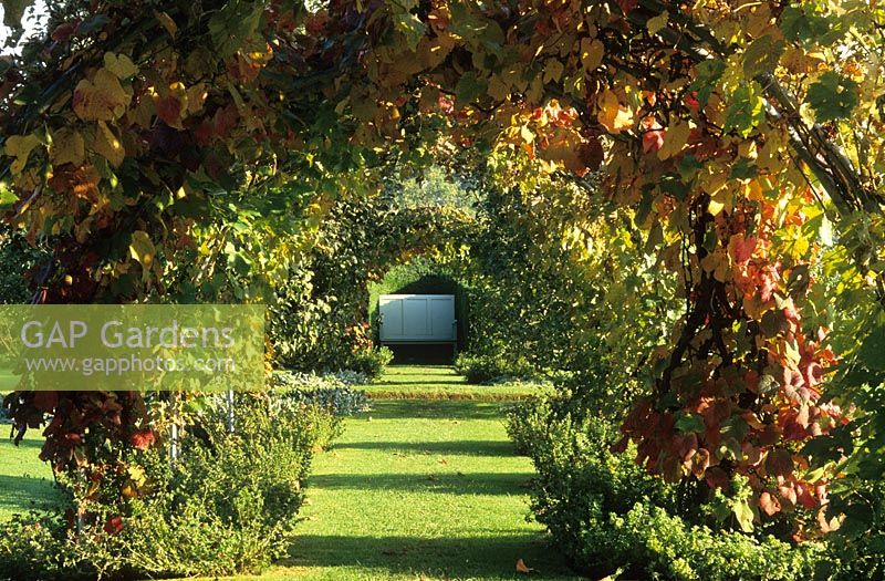 The vine tunnel in the Edwardian Garden at Powis Castle
