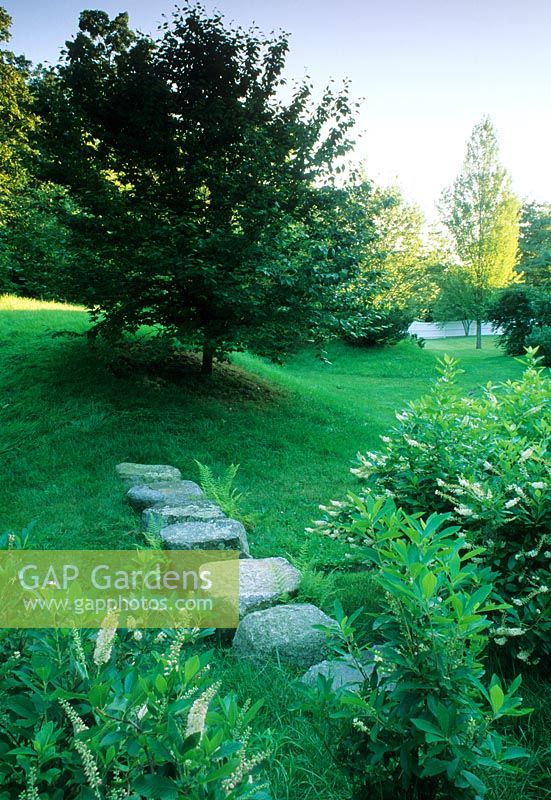 Series of boulders laid in line across grass towards tree on grassy knoll - Undulating garden with dips and mounds - Therapeutic Garden for Children, MA, USA