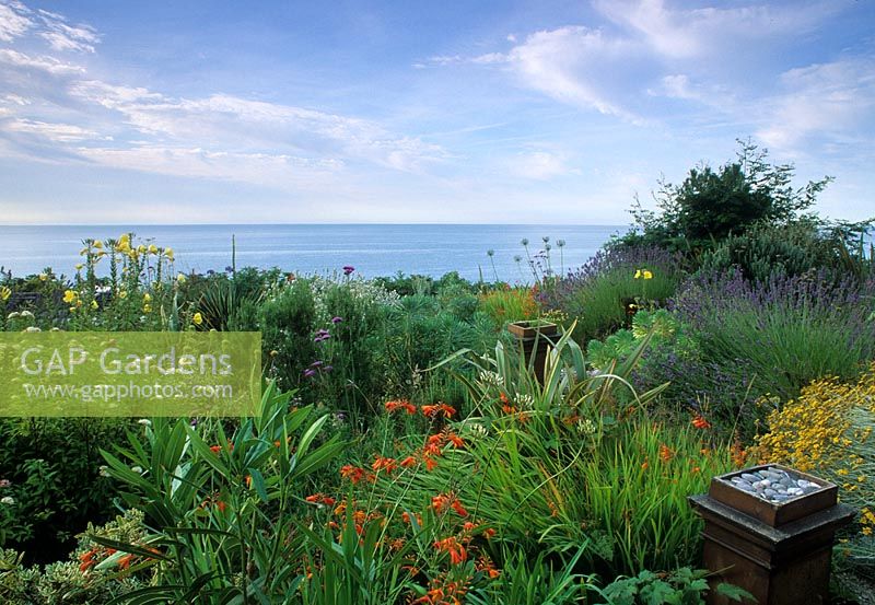 Seaside garden with Phormium, Lavandula, Crocosmia and Euphorbia characias - Dawlish