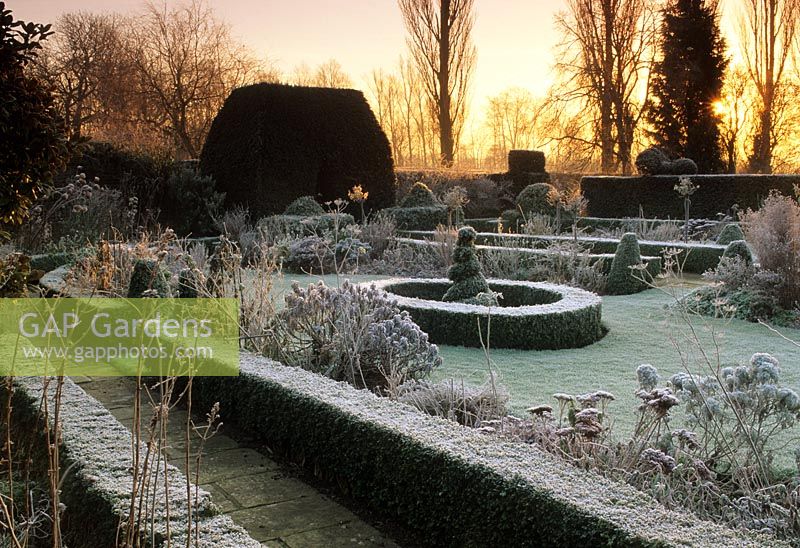 Formal garden in the frost in early morning light with low Buxus hedging beside path, edging borders - Shore Hall, Essex  
