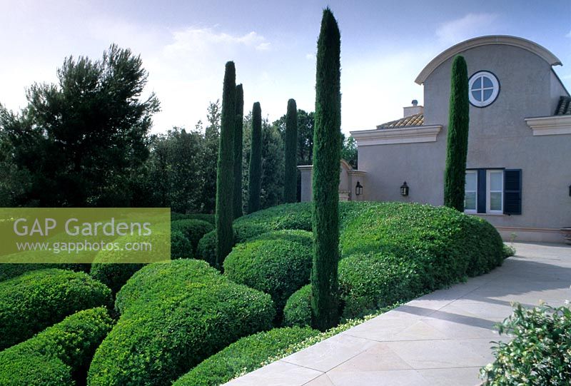 Spanish villa with cloud shaped topiary       