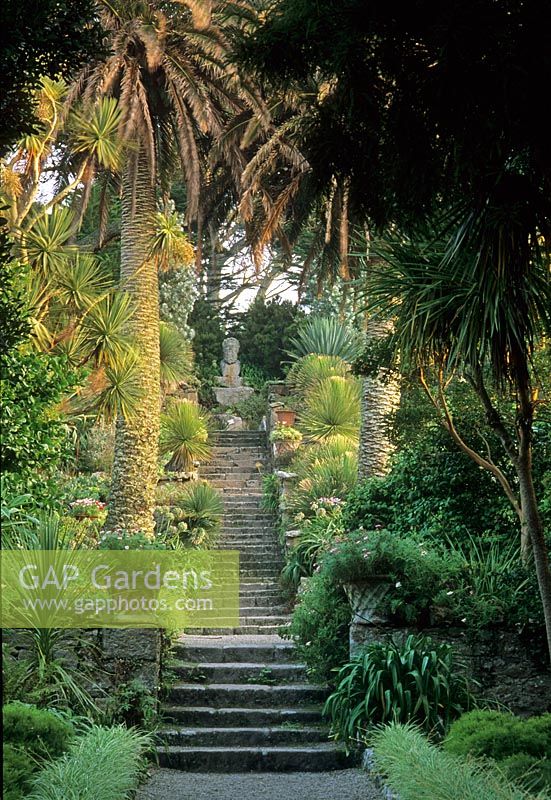 Palm lined steps leading to sculpture - Abbey Gardens, Tresco, Scilly Isles