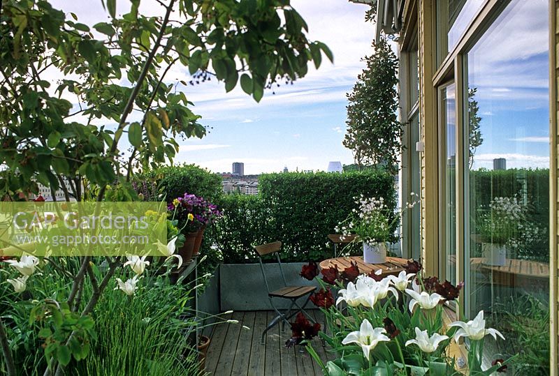 Plants in containers on balcony with table and chairs - Hammarby, Stockholm, Sweden