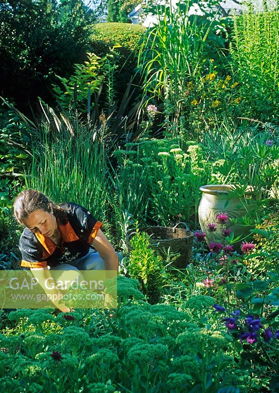Woman cutting flowers in garden

