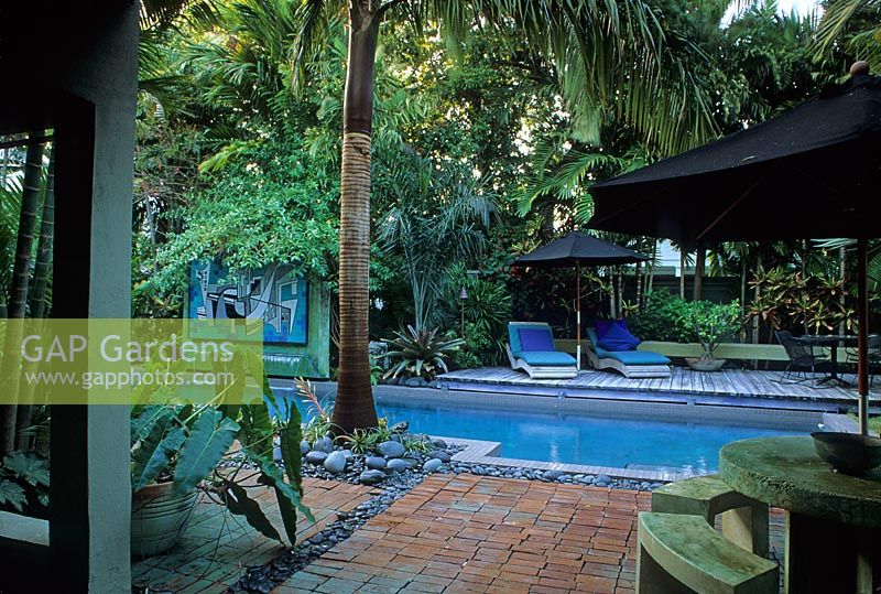 Swimming pool with sun loungers and lush green planting - Key West
