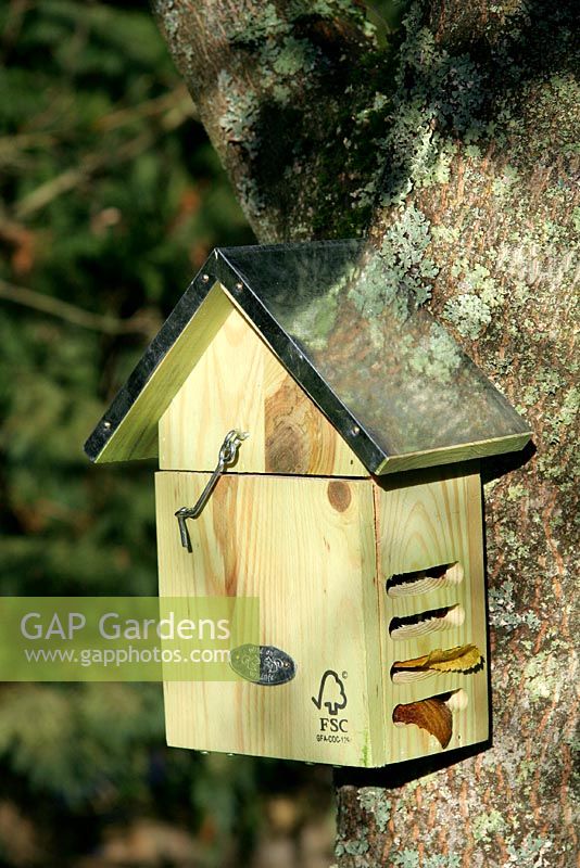 Ladybird shelter for bad weather and hibernation.