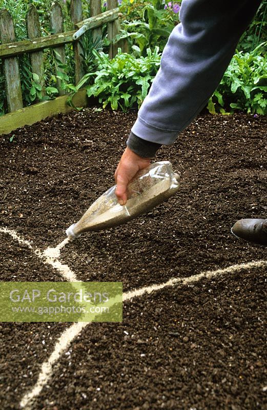 Sowing seeds outdoors, Marking out curves with sand poured from a bottle - Demonstrated by Carol Klein