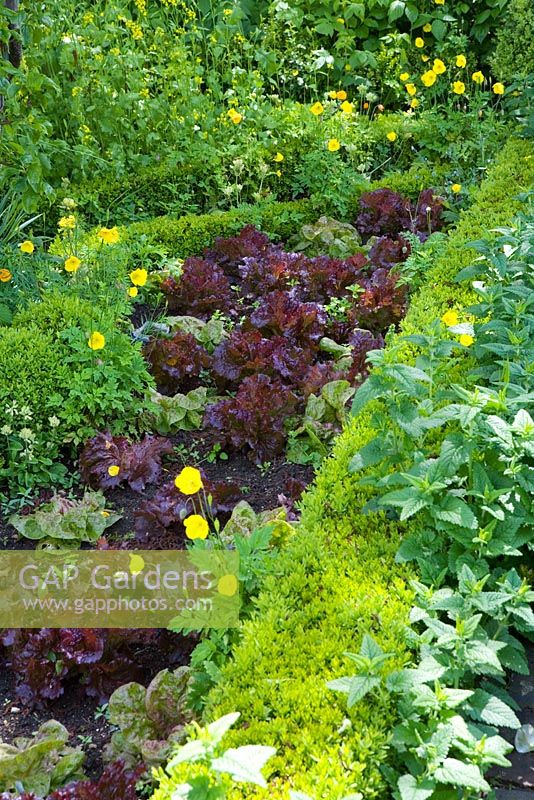 The potager, well known formal vegetable garden - Barnsley House Gardens, Glos - Former garden of Rosemary Verey