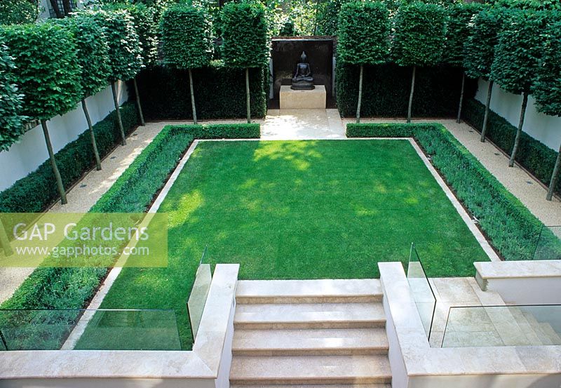 Symmetrical, formal town garden with steps up to lawn edged by simple borders of Lavender - Topiarised, pleached Limes and Buddha as focal point - Kensington 
