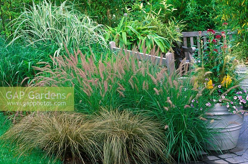 Carex flagellifera, Pennisetum orientale 'Karley Rose', Miscanthus sinensis 'Cosmopolitan' and Imperata cylindrica 'Rubra' in mixed border with container at New York Botanical Garden, USA
