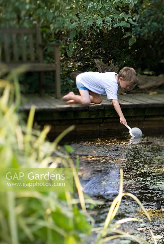 Boy fishing for pond life with sieve