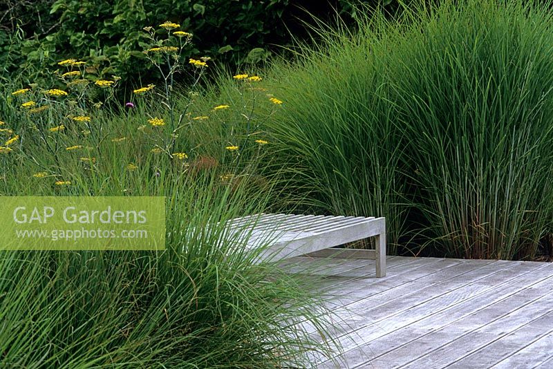 Wooden bench in garden with Miscanthus sinensis 'Gracillimus' and Foeniculum - Fennel