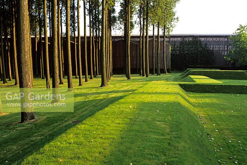 Grass covered land forms and Populus - Poplars