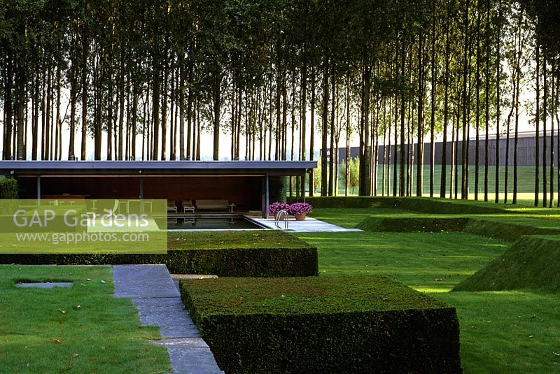 Modern garden with grass covered land forms and Populus - Poplars. Pool house beyond