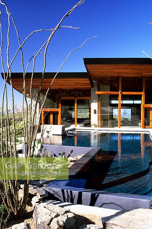 Modern garden with pond, view from garden to house. Design - Steve Martino, Tucson, Arizona. Architect - Bart Voorsanger