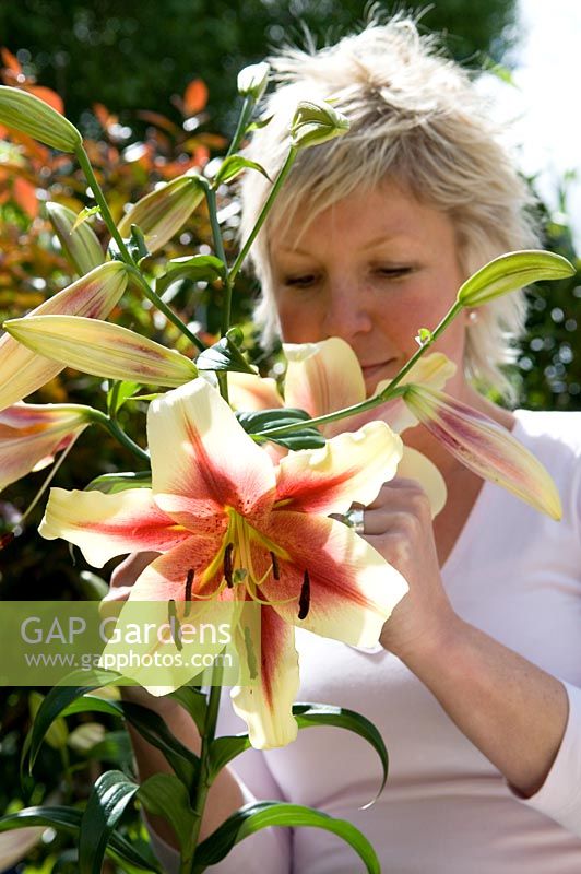 Young woman smelling a scented Lily