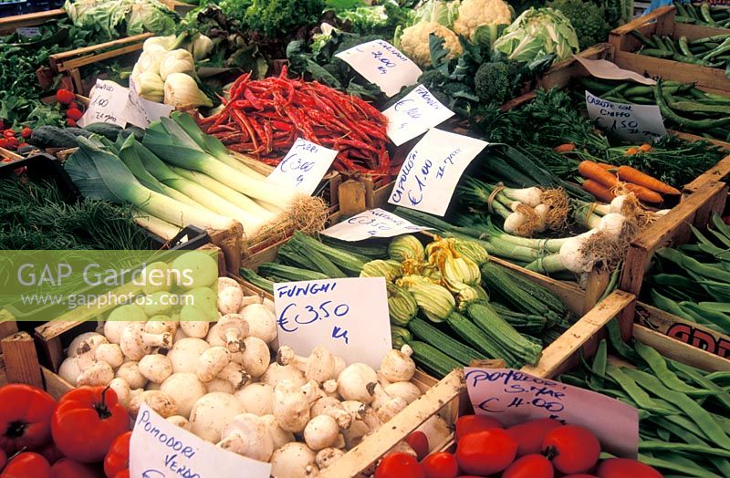 Fresh vegetables, including borlotti beans, for sale in Campo de' Fiori Market, Rome, Italy