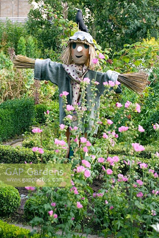 The potager with scarecrow - Barnsley House Gardens, Gloucestershire