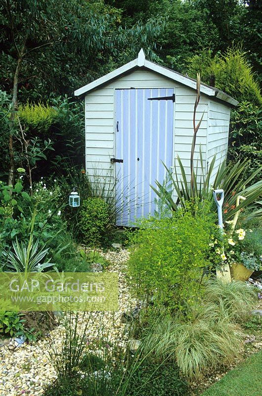 Gravel path leading to painted shed in seaside themed garden with Yuccas and phormium. Decorative use of painted spades.
