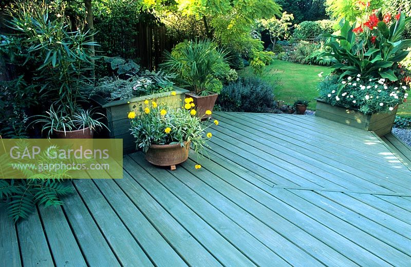 Decking with container plants