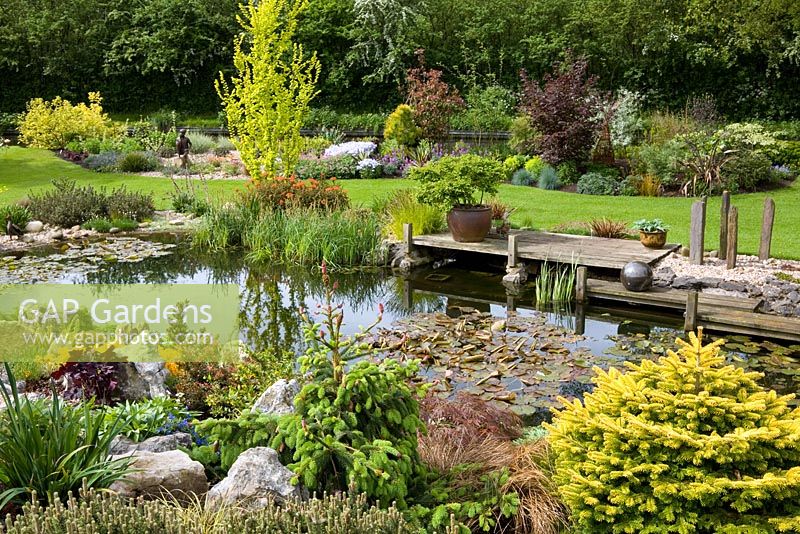 The pond with wooden deck jetty and decorative slate pillars. Central tree is Ulmus minor 'Dampieri Aurea' syn. U. x hollandica 'Dampieri Aurea', syn. U. hollandica Wredei - Golden Dutch Elm