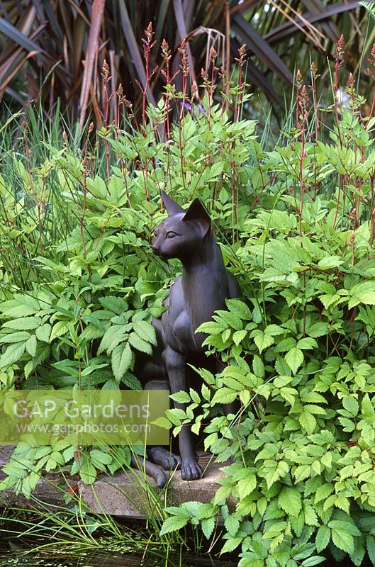 Bronze sculpture of Devon Rex cat at edge of pond