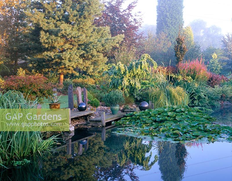 View across the lily pond with a wooden pontoon, rock sculptures and an Agave in a container