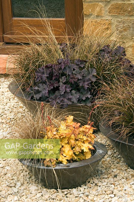 Copper containers with Heuchera x brizoides 'Can Can', Carex dipsacea, Chionochloa rubra (large)  Heuchera 'Amber waves' , Carex bronze form (small). Design Clive Nichols 