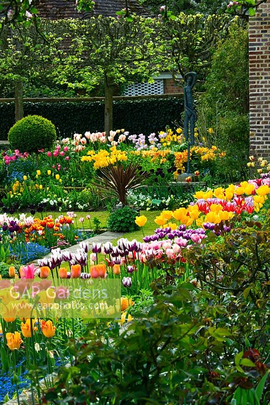 Spring border with Tulips - Tulipa in the sunken garden at Chenies manor house, Buckinghamshire