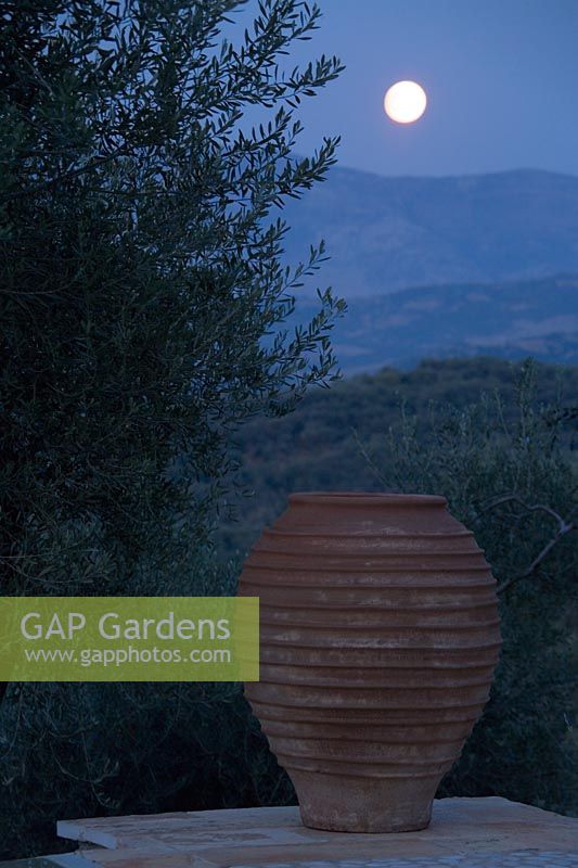 Night view of terracotta urn with full moon in Gina Price's Corfu garden