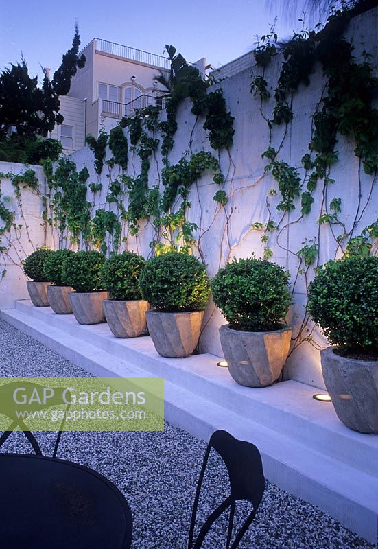 White wall with row of identical containers of Buxus spheres interspersed with uplighters - USA 